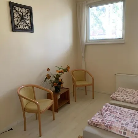 Apartment Vip