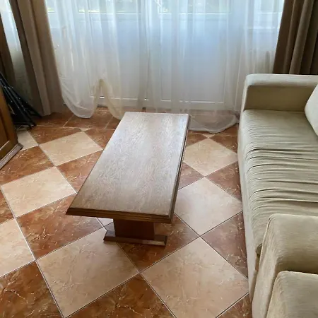 Apartment Vip